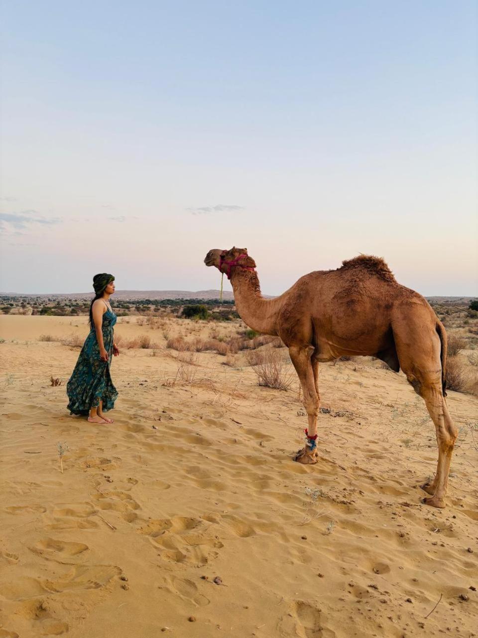 Crazy Camel Hotel & Safari Джайсалмер Экстерьер фото