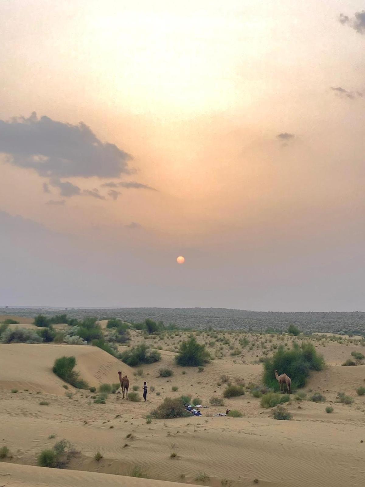 Crazy Camel Hotel & Safari Джайсалмер Экстерьер фото